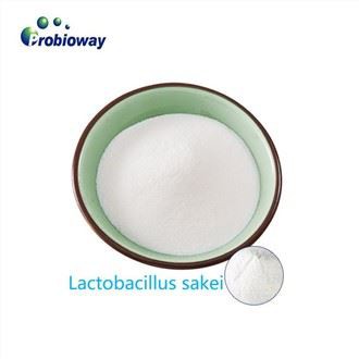 Безглютенові лактобактерії Sakei
