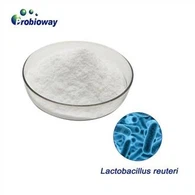 Висока стабільність Lactobacillus Reuteri
