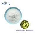L.rhamnosus порошок